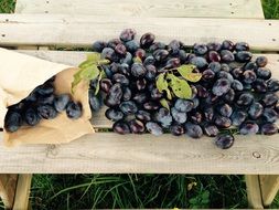 plum crop on wooden table