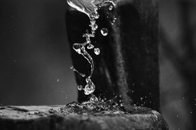 large water drops close-up, black and white
