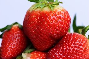 Strawberries Fruit Close still life