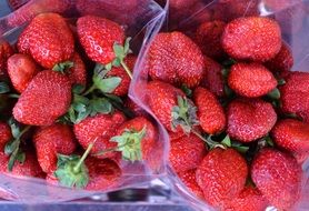 strawberries as an organic product