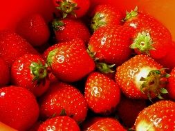 juicy strawberries in the bowl