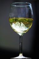 glass of refreshing white wine