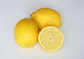 lemon is a tropical fruit