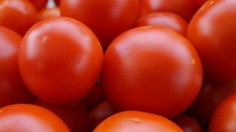 Picture of the red tomatoes