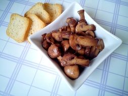 delicious Mushrooms and Toasts