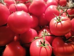 Tomatoes Food Fair Agriculture