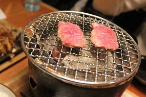 Grilled Meat on the grate
