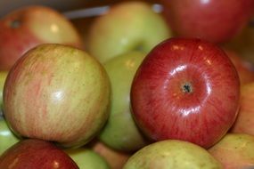 green apples in a bowl