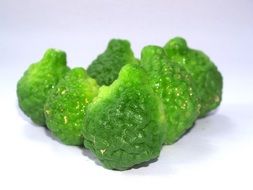 fresh green Bergamot Fruit on white desk
