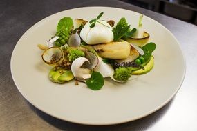 healyhy Vegetables Salad on white dish