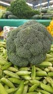 appetizing Broccoli Green Vegetables