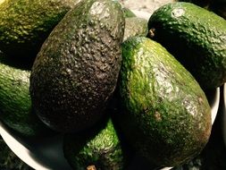 green fresh Avocados