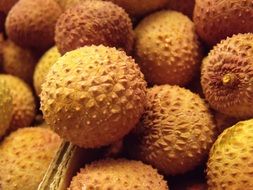 harvest of exotic litchi