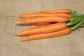 attractive Carrots