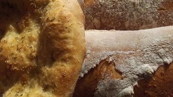 Artisan bread from the oven