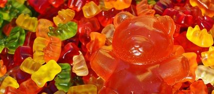 orange Giant Rubber Bear among small bears