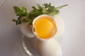 Egg yolk in cracked egg
