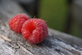 beautiful delicious Raspberry