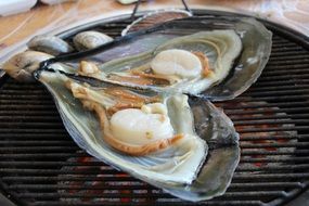 beautiful delicious Seafood