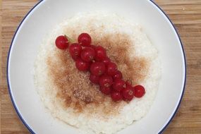 rive pudding with red currants