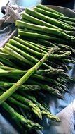 healthy green fresh asparagus