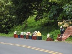 fresh farm vegetables are sold by the road