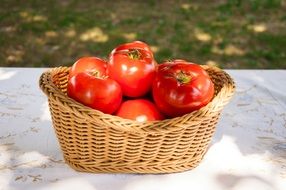 red tomatoes in a wicker basket