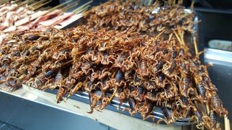 fried Scorpions, Chinese Food