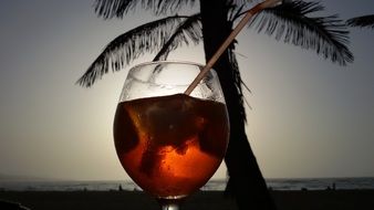 Aperol Spritz Cocktail in glass beneath Palm Tree at Sunset