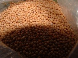 Brown mustard seeds in the summer