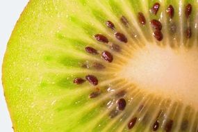 closeup picture of kiwi in a cut