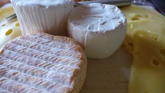 tasty Dutch local cheese