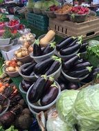 Colorful vegetables from the garden