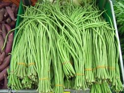 long green beans for sale