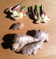 Ginger Zingiber Root
