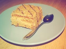 piece of Sweet Cake and spoon on Plate