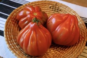 red Tomatoes Vegetables in basket