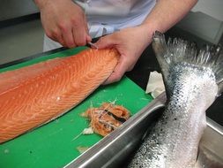 huge red norway sea fish, salmon