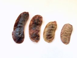 Senna Fruit