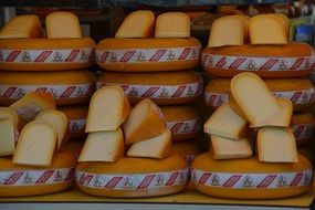 Cheese in the holland market for sale