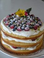 Berries on a cake