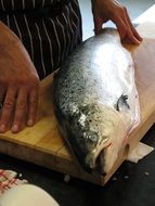 fresh Salmon Norway Sea on wooden board