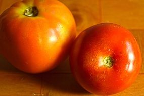 two healthy red tomatoes