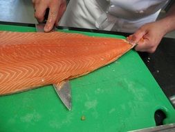 Salmon fillet Norway Sea ​​Fish Cook
