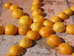 cut tangerines fruits