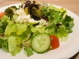 Salad made of the tomatoes,lettuce,cucumber and other vegetables