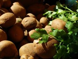 raw Potatoes and parsley on Vegetable market