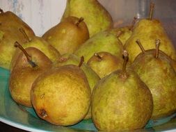 tasty Pears Fruit