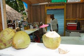 coconut drink in the Caribbean