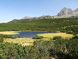 panorama of green swamps on the background of mountains